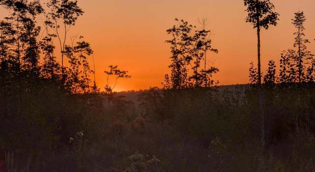 Photo of Lot 1 Peterson Hill Rd, Bayfield, WI 54814