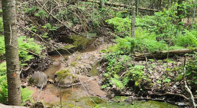 Photo of XXX Mcculloch Rd, Washburn, WI 54891