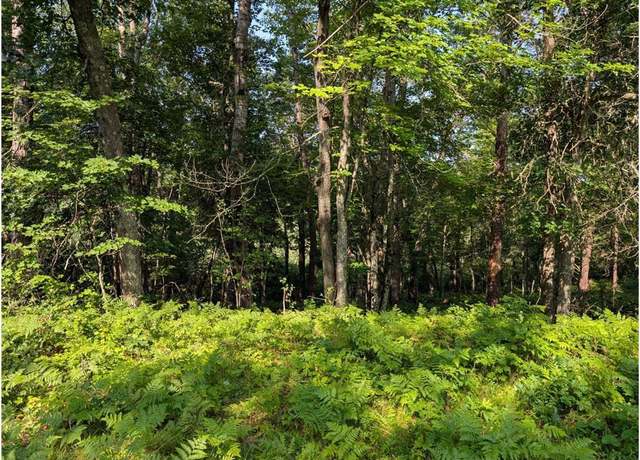 Property at TBD Dock Lake Rd, Spooner, WI 54801