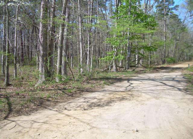 Property at rail road blvd 1, Buena Vista Township, NJ 08310