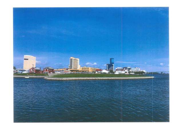 Property at 415 Carson Ave Ave, Atlantic City, NJ 08401