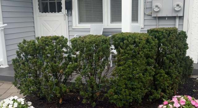 Photo of 16 W 11th St #A5, Ocean City, NJ 08226