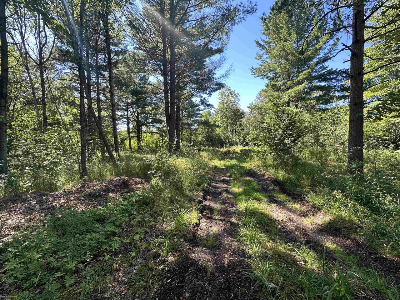 0 Long Lake Rd Rd, Hale, MI 48739 MLS 50121788 Redfin