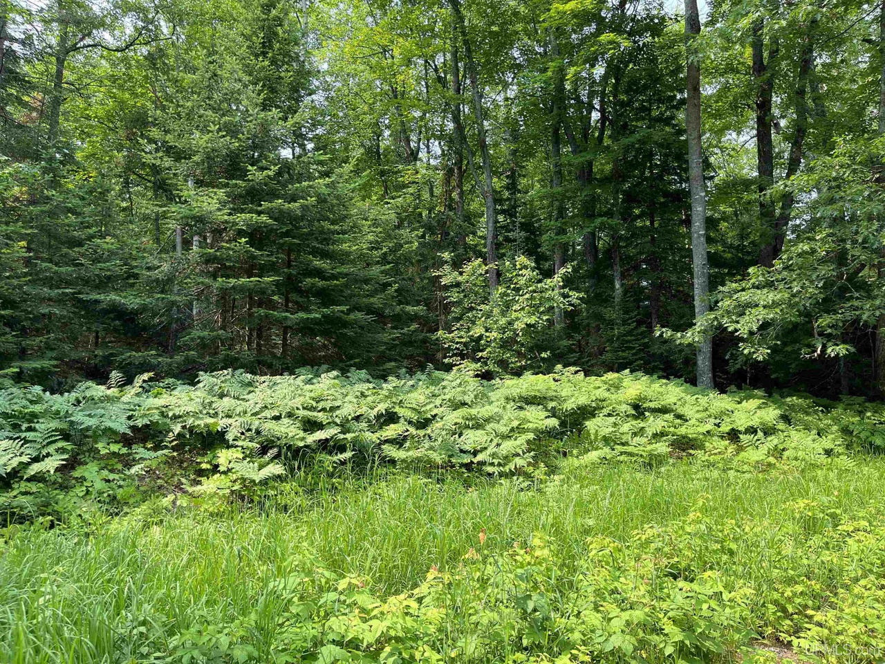 190 White Bear Negaunee MI 49866 MLS# 50115824 Redfin 190 White Bear Negaunee MI 49866 MLS# 50115824 Redfin