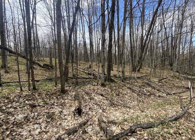Property at Lots 292-293 Jaeger Strasse Lot : 292/93, Bellaire, MI 49615