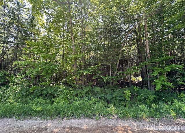 Property at Parcel B Webb Rd, Grand Marais, MI 49839