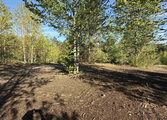 Property at 1007 E Solaris Way Lot : B1, Maple City, MI 49664