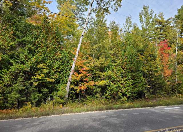 Property at TBD Co Rd 441 Rd, Manistique, MI 49854