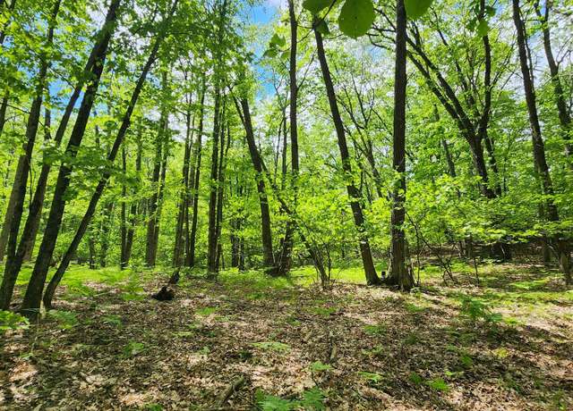 Property at Lot 827 Hemlock Ln, Farwell, MI 48622