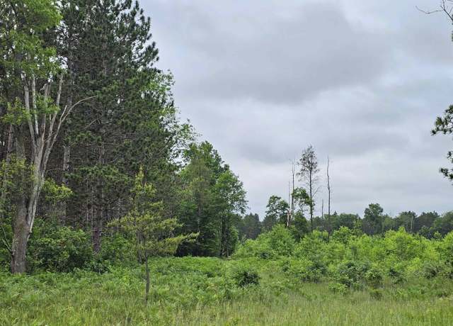 Property at 00 Menzies Rd, Lake City, MI 49651