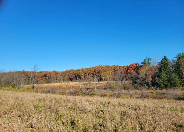 Property at 0 S Tripp Rd, Osseo, MI 49266