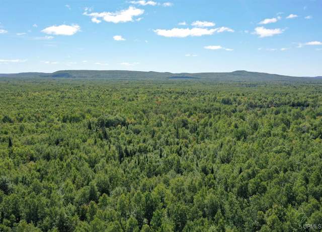 Property at TBD LP WALSH Rd, White Pine, MI 49971