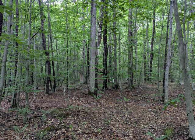 Property at TBD Stella Lake Road Rd, Wetmore, MI 49895