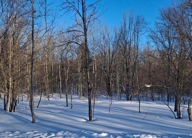 Property at Lot 144 Willamo Lot 144 Cir, Mancelona, MI 49659