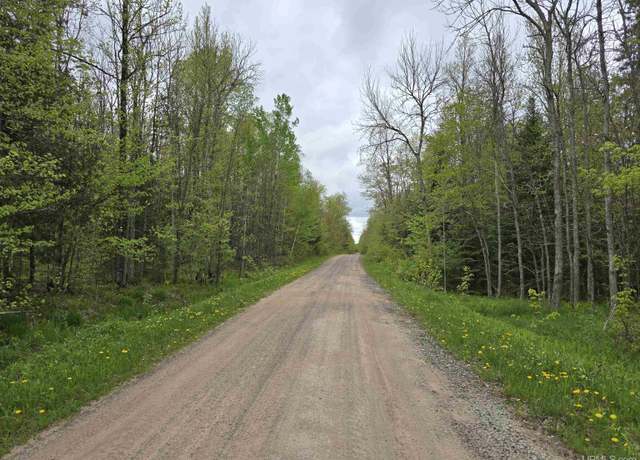 Property at Lot 37 Yellow Rd, Nisula, MI 49952