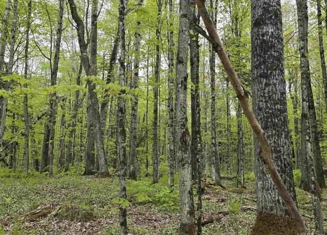 Property at Lot 37 Yellow Rd, Nisula, MI 49952