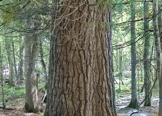 Property at 9693N Blue Rd Lot 171, Nisula, MI 49952