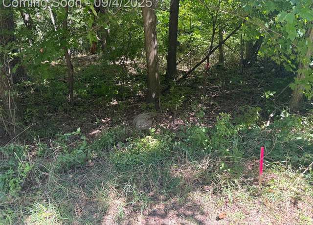 Property at 00 Baldwin Rd, Metamora, MI 48455