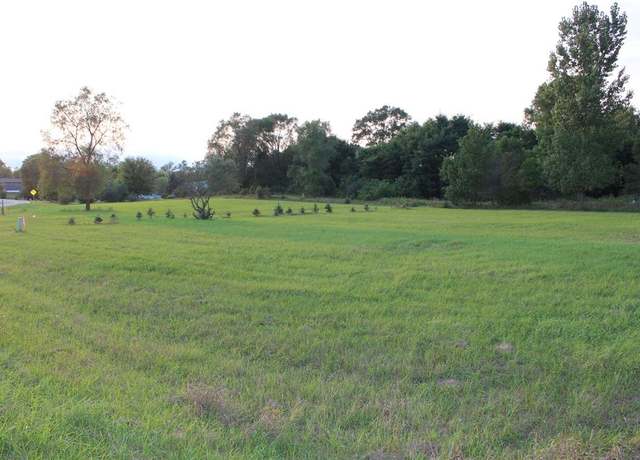 Property at TBD Bonanza Ln Lot : 2 LOTS, Lake Isabella, MI 48893