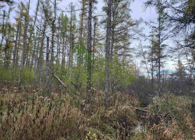 Property at TBD Airport Rd, Rock, MI 49880