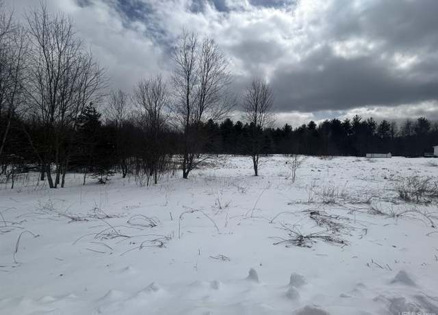 Property at TBD W Bijiki and M35 Rd Unit TBD M35, Gwinn, MI 49841