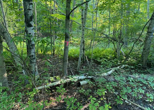 Property at Allegheny Trl Lot : Mult, Evart, MI 49631