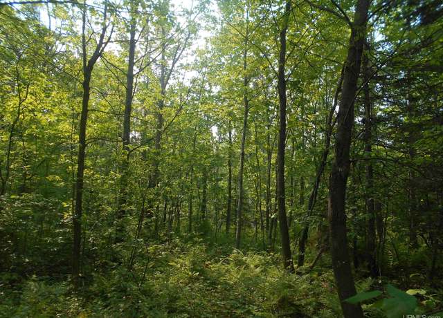 Property at TBD Oikarinen Rd, Hancock, MI 49931