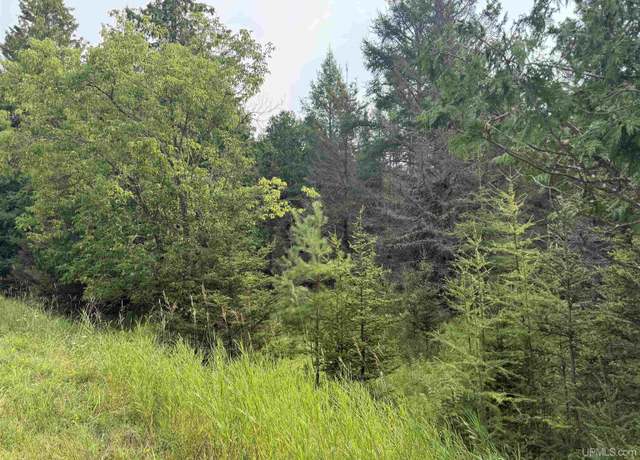Property at TBD County 503 CC Rd, Rapid River, MI 49878