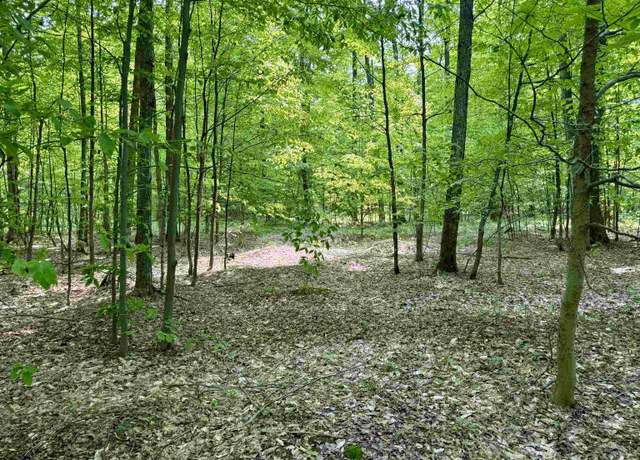 Property at 00 Honeybee Rd Lot : B, Empire, MI 49621