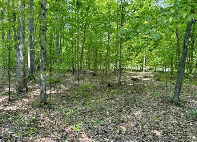 Property at 000 Honeybee Rd Lot : C, Empire, MI 49630