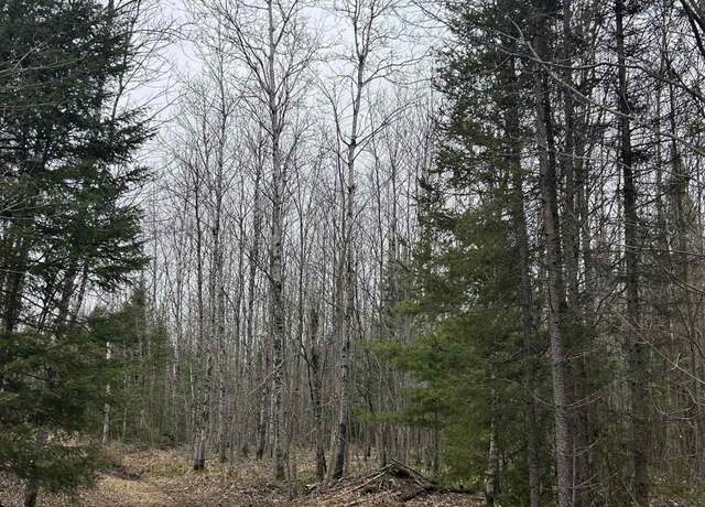Property at Parcel 9 Off Johnson Lake Rd, Gwinn, MI 49841