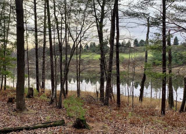 Property at 00D Lazy Ridge Trl Lot : D, Lake Ann, MI 49650