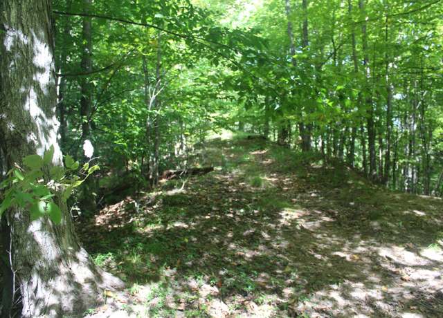 Property at 000 Harbor Beach Dr, Rapid City, MI 49676