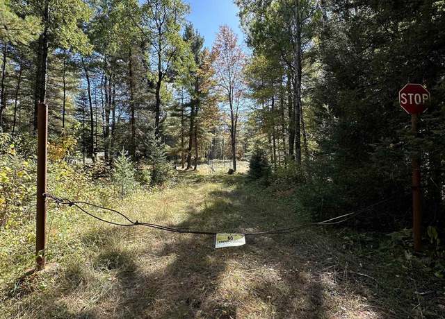 Property at TBD Amvets Hwy, Iron River, MI 49935