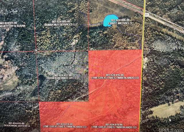 Property at TBD County Line Rd, Hardwood, MI 49873
