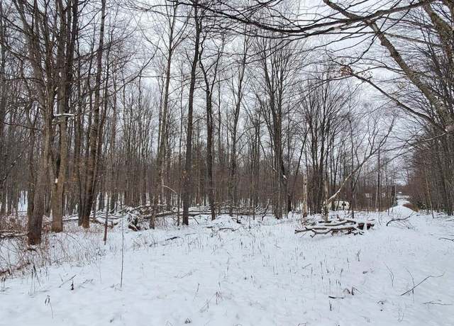 Property at TBD Tschury Dr, Iron River, MI 49935