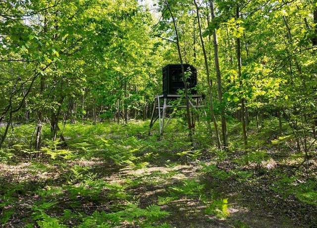 Property at 2351 S 10 Mile Rd, Breckenridge, MI 48615