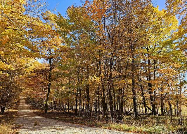 Property at TBD Tbd 18.25 Ln, Garden, MI 49835
