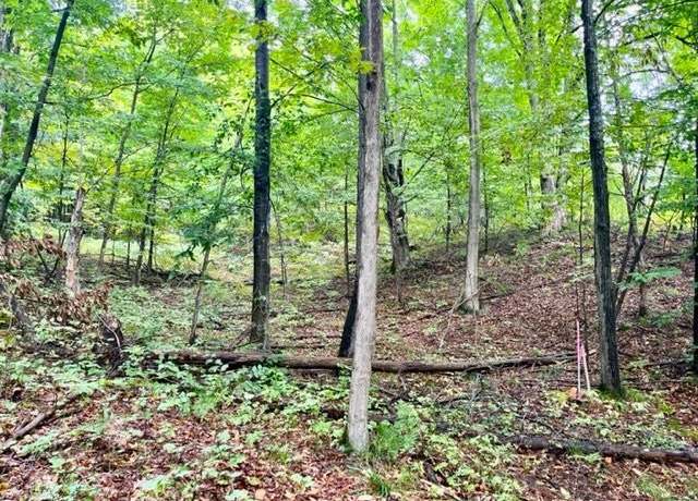 Property at Traverse Ave, Benzonia, MI 49616