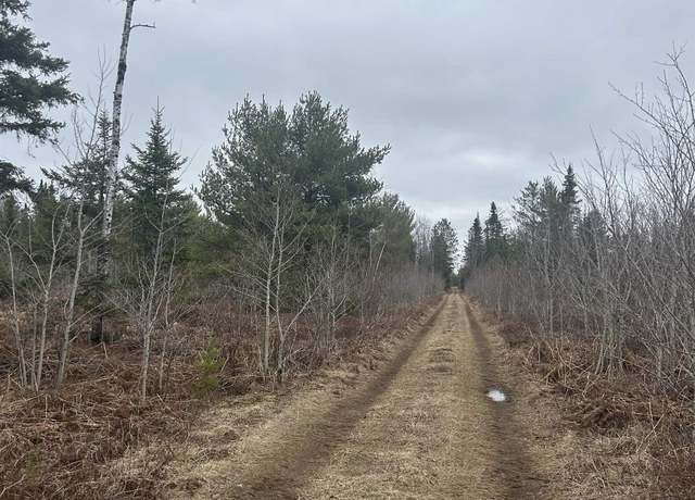 Property at Parcel 5 Off Johnson Lake Rd, Gwinn, MI 49841