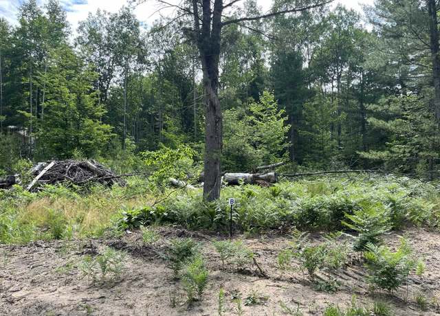 Property at TBD Hoosier Flats Rd Lot : B, Traverse City, MI 49685