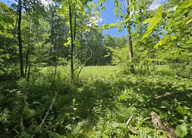 Property at 21 & 22 190th Ave, Big Rapids, MI 49307