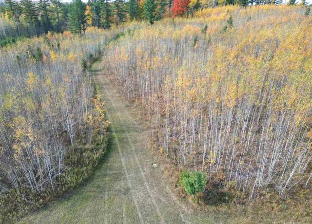Property at TBD Off Murray 80 Rd, Perronville, MI 49873