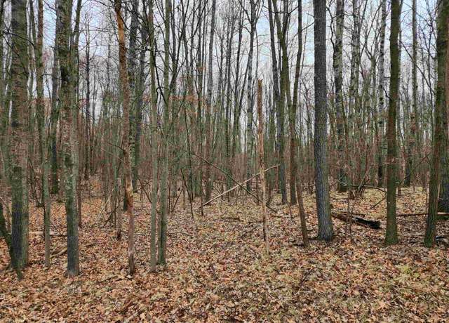 Property at Lot 782 Elkhorn Way, Farwell, MI 48622