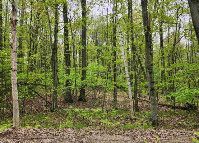Property at Lot 782 Elkhorn Way, Farwell, MI 48622