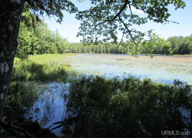 Property at TBD Off Goldmine Road parcel B Rd, Big Bay, MI 49808