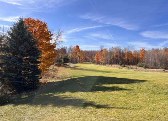 Property at VL Raptor Run Lot : 202, Bellaire, MI 49615