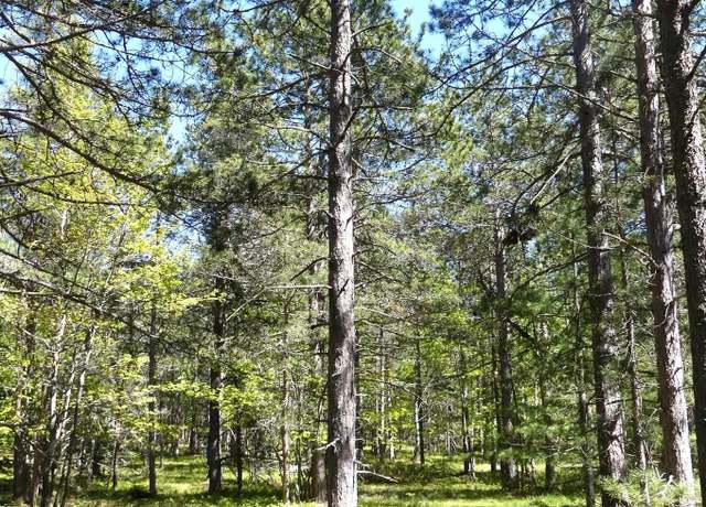 Property at TBD N Afoafos Trl, Grand Marais, MI 49839