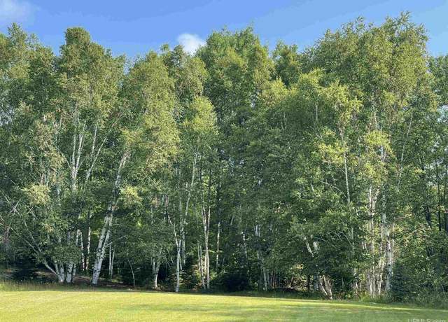 Property at TBD County Road 492, Marquette, MI 49855