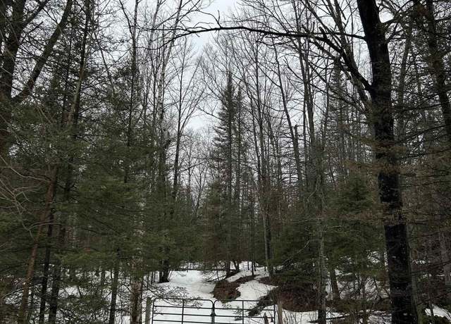 Property at TBD County Rd FD Trl, Champion, MI 49814